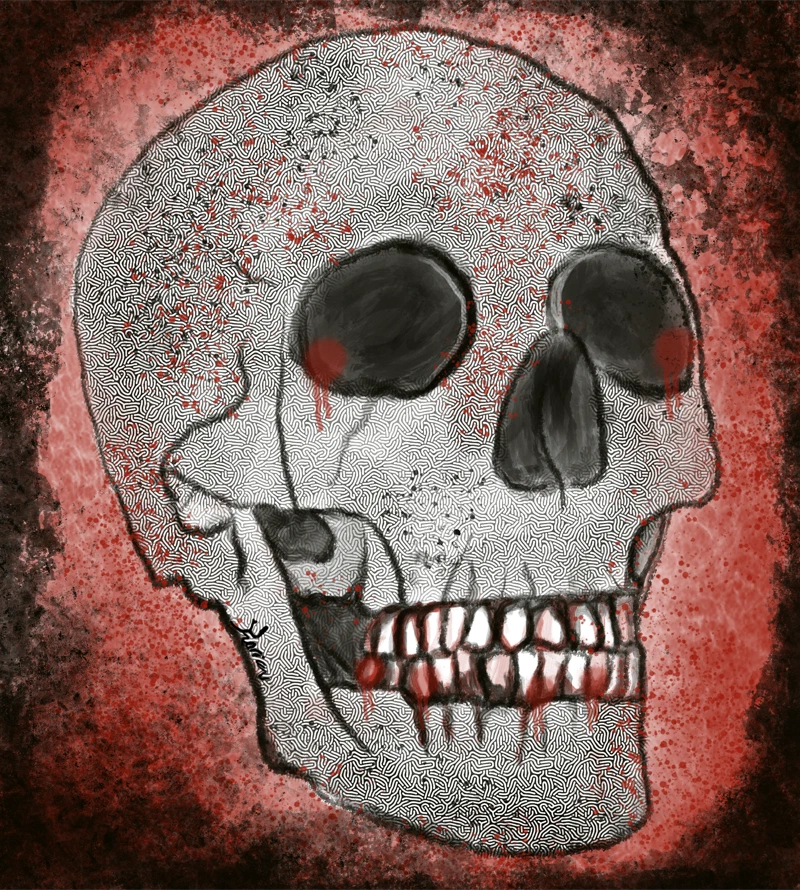 A skull drawn by Kari against a textured red and brown background.